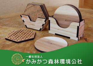杉の木コースター