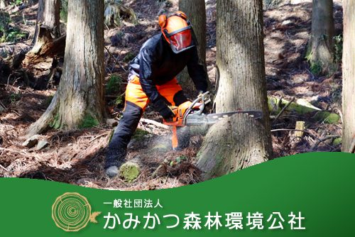林業師